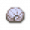 列表霉菌贝壳.png