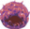 带毒巨物艾薇.png