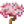 白色樱花树.png
