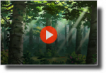 FMBG Birch.png