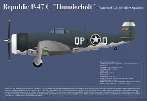 P-47-5.jpg