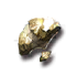甲壳化石.png