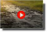 FMBG CountryRoad.png