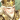 卢植-头像.png