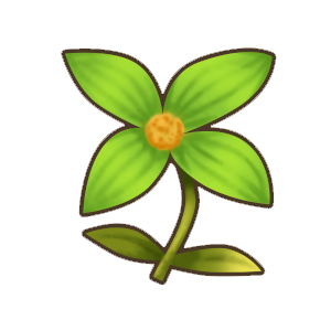 宁静花.png