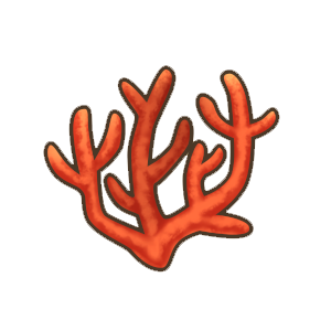优美珊瑚.png