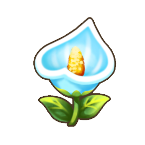 可白花.png