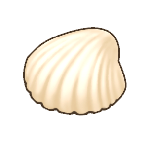 坚固贝壳.png