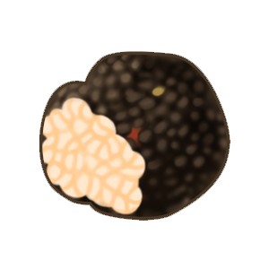 松露.png