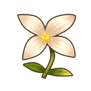 纯洁花.png