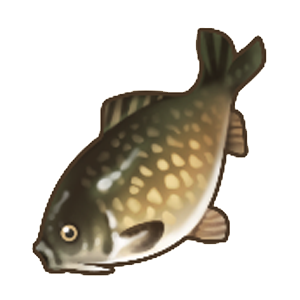 秘斯特鲤鱼.png