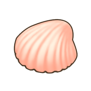 小贝壳.png