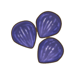 黑暗鳞片.png