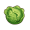 卷心菜.png