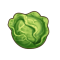 卷心菜.png