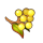 安赫尔浆果.png