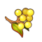 安赫尔浆果.png
