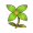 宁静花.png