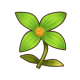 宁静花.png