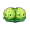 双胞卷心菜.png