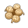 软木树果实.png