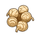 软木树果实.png