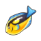 椰可可鱼.png