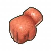 苹果公主手套.png