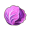 紫卷心菜.png