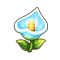 可白花.png