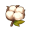 蒲公英棉.png