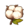 蒲公英棉.png