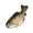 摇篮鳟鱼.png