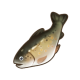 摇篮鳟鱼.png