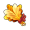 黄金草.png