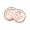 贝壳纽扣.png