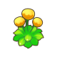 幸运花.png