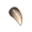 魁梧尖牙.png