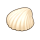坚固贝壳.png