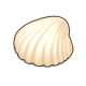 坚固贝壳.png