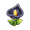 艾黑花.png