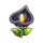 艾黑花.png