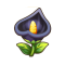 艾黑花.png
