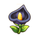艾黑花.png