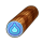 水之古木.png