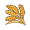 遥樱小麦.png