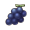 草原葡萄.png