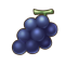 草原葡萄.png