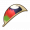 虹鸟的羽毛.png