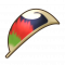 虹鸟的羽毛.png